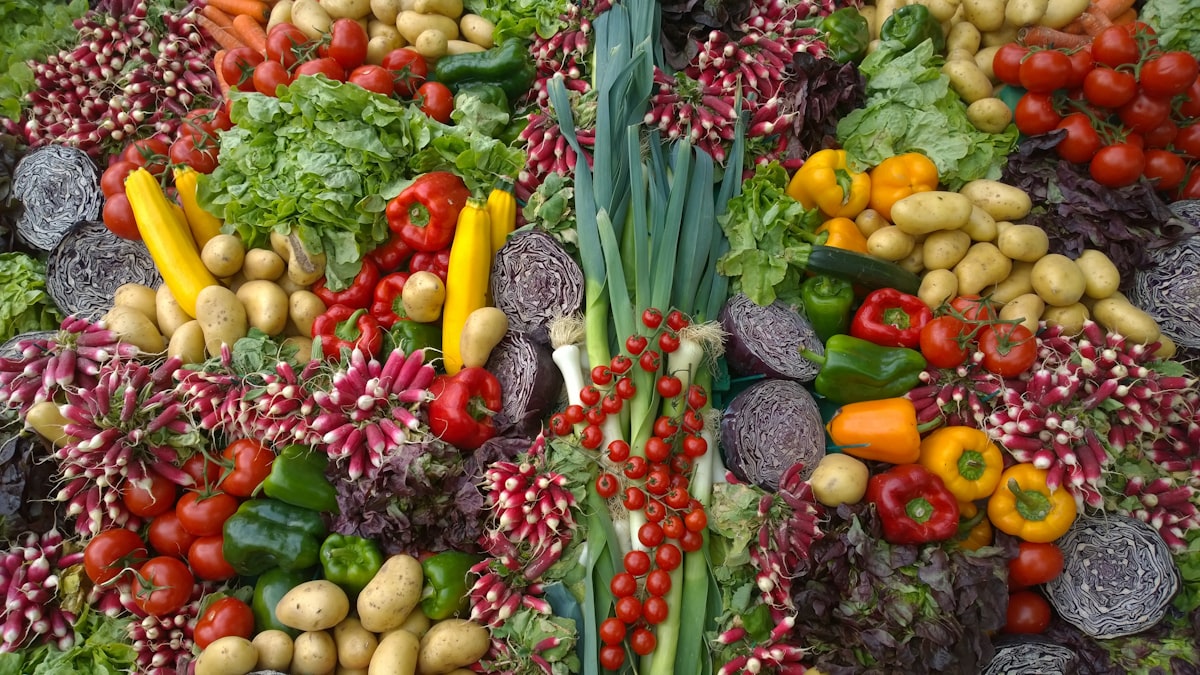 Prof. Marco Benedetti - Ricercatore Nutrizionale